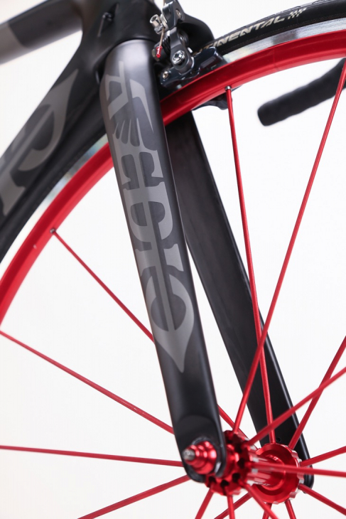 エヴァディオ VENUS RS 復活を果たしたフラッグシップカーボン